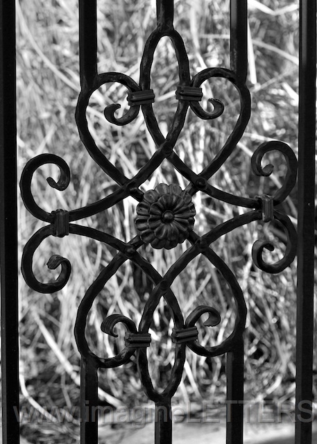 Wall_Art_Alphabet_Photography_Art_ 1602.jpg